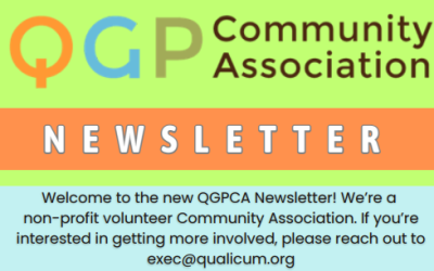 QGP Community Newsletter Issue #2